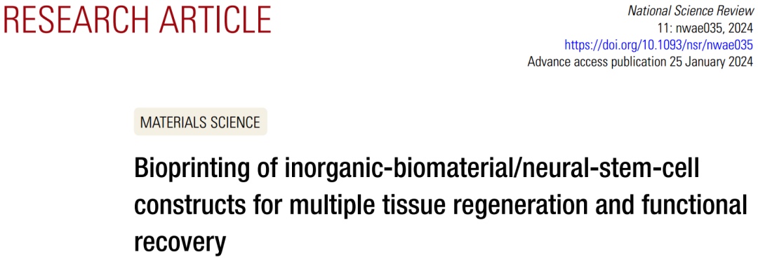 3D打印無(wú)機(jī)生物材料 神經(jīng)干細(xì)胞構(gòu)建體推動(dòng)組織再生與功能恢復(fù)